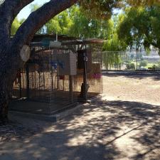 Before new lion enclosure construction moorpark ca (5)